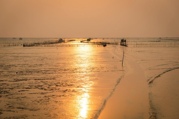 Aventure en Solo à la Campagne : Guide Ultime pour Voyageur Aventurier