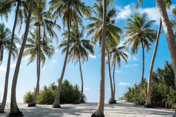 Retraite Écologique : Expérience Durable au Cœur de la Nature Rurale