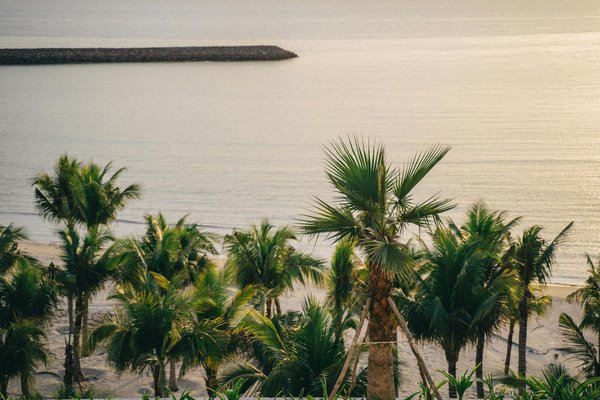 Découverte des croisières fluviales : l'essentiel pour bien commencer
